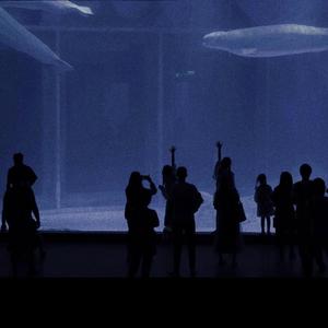 沙特一级婬片A片AA
