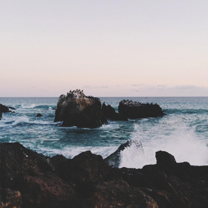 沙特一级婬片A片AA
